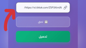 لصق الرابط في موقع VidSave للتحميل