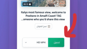 تحميل الفيديو بصيغة MP4 بدون حقوق